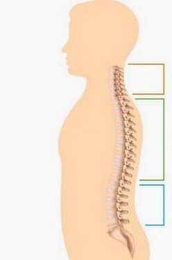 Damage to osteochondrosis of different parts of the spine